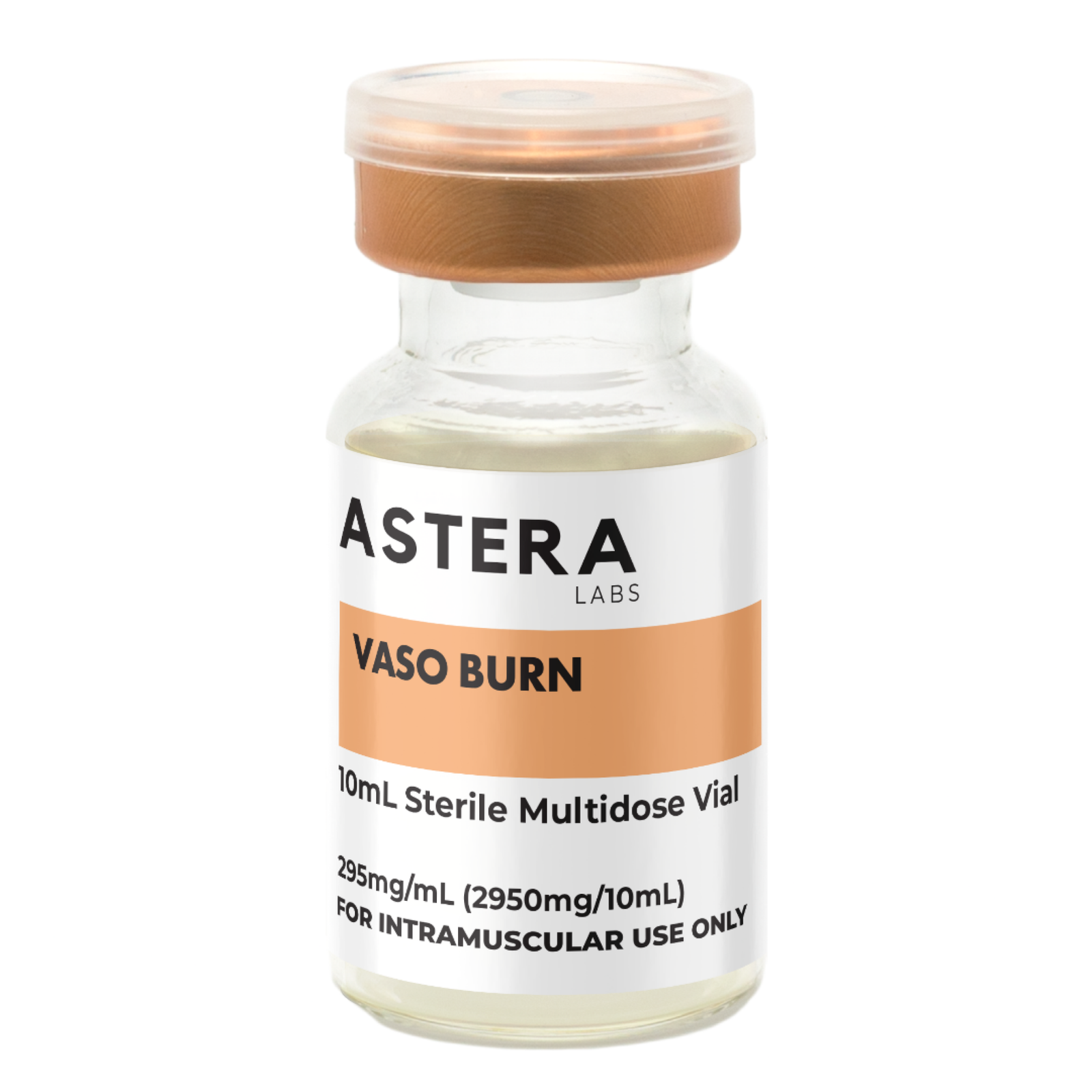 VASO BURN Fat-295mg/ml Metabolizing Formula with L-Carnitine and Choline
