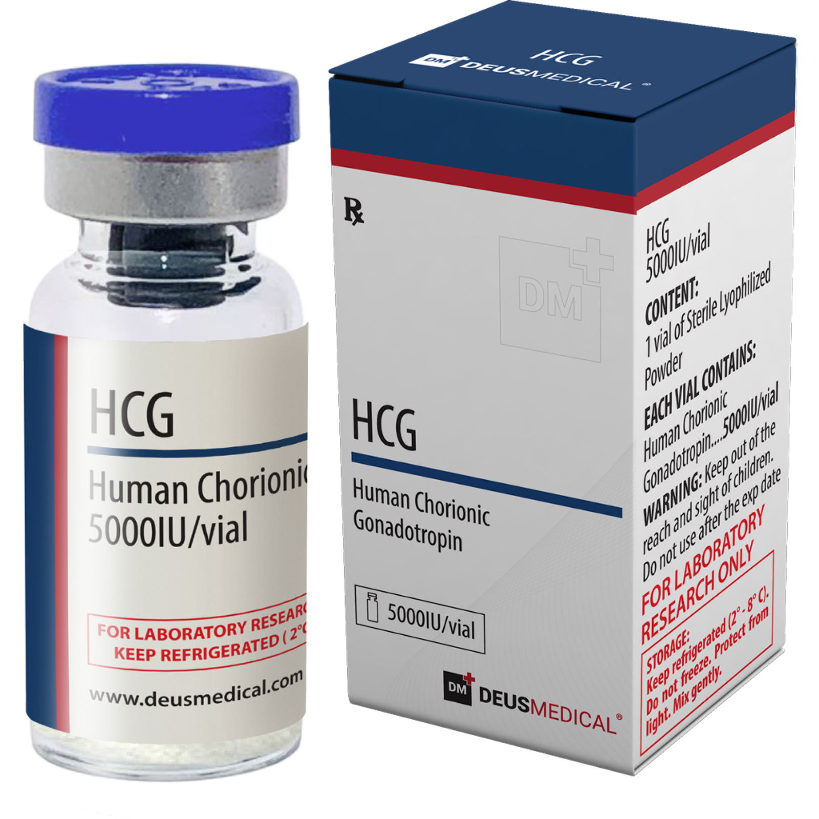 HCG (Human Chorionic Gonadotropin) 1